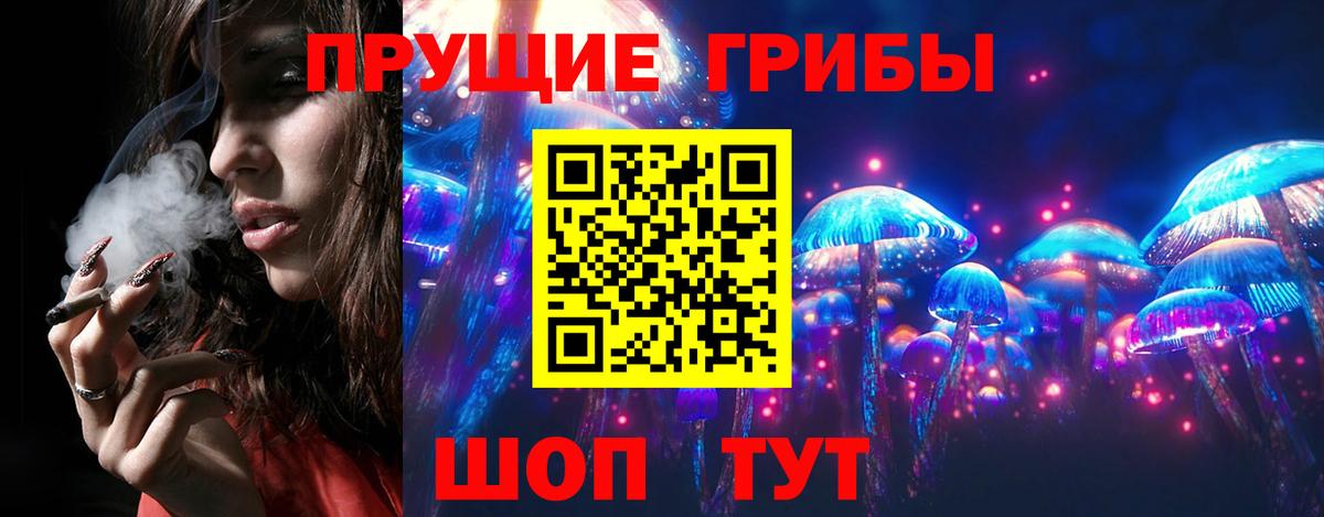 Саров  Галлюциногенные грибы GOLDEN TEACHER  закладки  Вход с VPN 